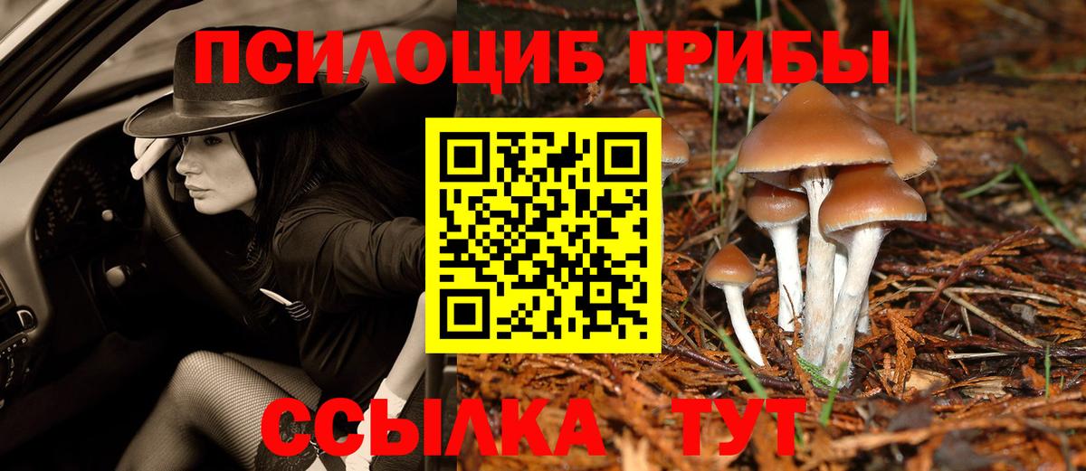 Галлюциногенные грибы GOLDEN TEACHER Златоуст