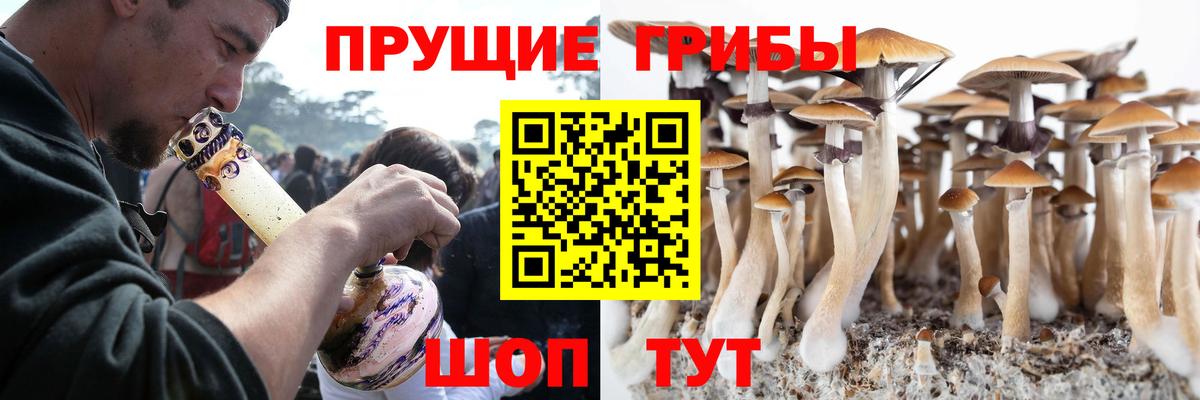 Златоуст  Галлюциногенные грибы Psilocybine cubensis  Вход с VPN 